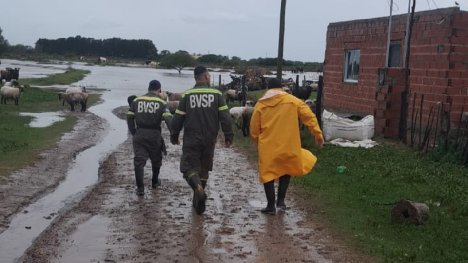 Temporal: Campos bajo agua y familias asistidas Temporal: Campos bajo agua y familias asistidas