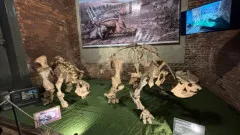 23-anos-de-uno-de-los-lugares-mas-significativos-en-la-historia-de-la-ciudad